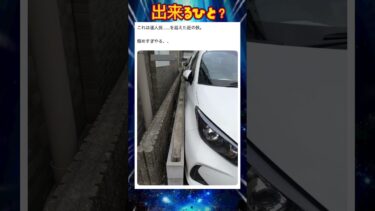 ギリギリの世界。#shorts #駐車 #車 #話題 #トレンド　#バズれ
