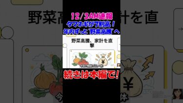 【12/3AM速報】タマネギ7割高・トマト5割高！年内いっぱい“野菜高騰”止まらず　#経済 #株価 #ニュース #shorts