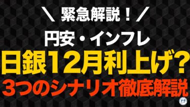 【円安・インフレ】日銀12月利上げがあるか？スケジュールから見える3つのシナリオ【きになるマネーセンス1009】
