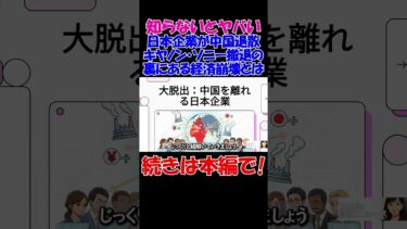 【なぜ？】日本企業が中国から逃げるワケ　キヤノン・ソニー撤退の裏にある経済崩壊とは･･･？！  #経済 #株価 #ニュース#shorts