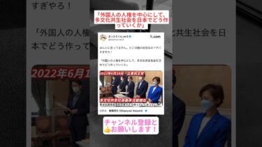 「外国人の人権を中心にして、多文化共生社会を日本でどう作っていくか」 #shorts #ニュース #政治