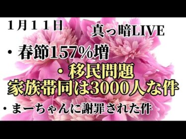 移民120万人は大げさでは！？【概要欄にチャプターあり】画像真っ暗ラジオ