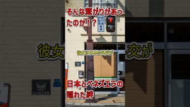 「ベネズエラ危機と日本の知られざる関係 #ベネズエラ危機 #エネルギー資源 #外交」
