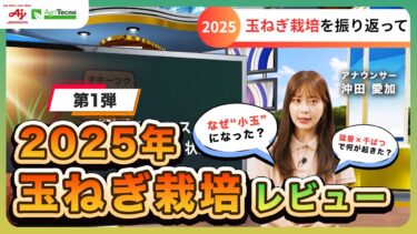 【2025北海道玉ねぎ】小玉・不作の原因は何だった？異常気象をデータで徹底レビュー第1弾！