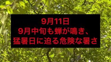 2025年気候変動まとめ