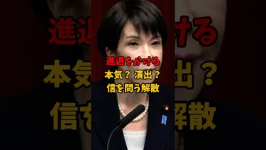 【投票】高市「進退をかける」本気？演出？（争点3つ）#衆院解散 #進退をかける #本気か演出か #高市でいいのか #国民が決める #物価高 #安全保障