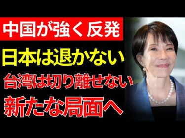 【速報】【緊急】日本の15年越しの備えと中国の輸出制限