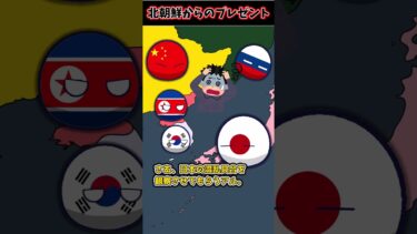 【応援】北朝鮮、日本開幕の打ち上げ花火　#ポーランドボール