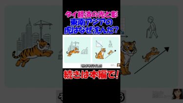 【タイ経済の光と影】崩壊の真実｜「東南アジアの虎」はなぜ沈んだのか？ #経済 #株価 #ニュース #shorts