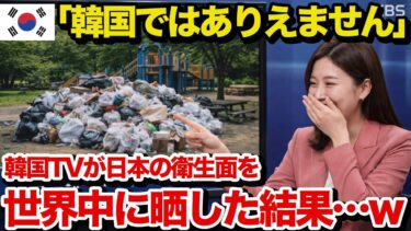 【海外の反応】隣国「これだから日本は格下なのよw」隣国TVが日本の衛生面を非難した結果…日韓の違いに世界が失笑