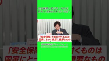 安全保障と名が付くものは日本では決められない？