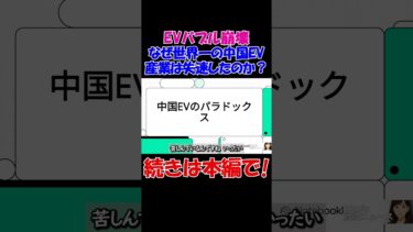 【EVバブル崩壊】なぜ世界一の中国EV産業は失速したのか？補助金と過剰生産の末路 #経済 #株価 #ニュース #shorts