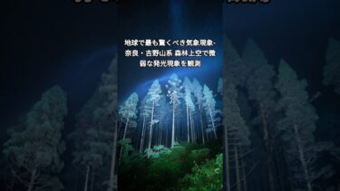地球で最も驚くべき気象現象-奈良・吉野山系 森林上空で微弱な発光現象を観測
