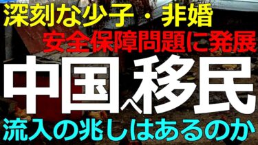 経済）2026-01-25 少子化で問題多発の中国へ移民の流入は起きているのか？今後の展開予想も含めて解説します