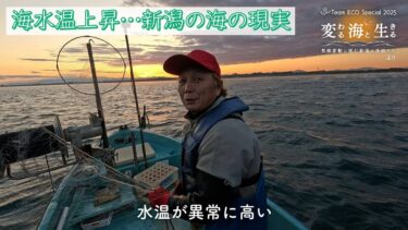 Team ECO Special🌱「変わる海と生きる～気候変動に挑む新潟の漁師たち～」ダイジェスト#2【Team ECO Project2025】
