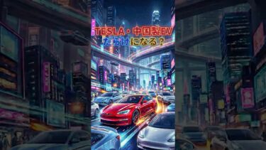 エコカー補助金でテスラや中国製EVが増える？
