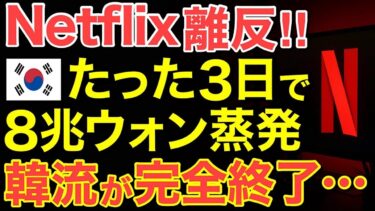 海外の反応Netflix撤退で隣国エンタメが崩れ落ちる誰も信じなかった終わりが来た韓流完全終了にほんのチカラ