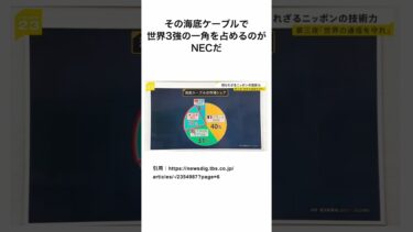 NECの海底ケーブル〜世界3強・手作業・国際通信・安全保障〜