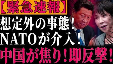 【国際激変】中国外交が完全迷走 NATOが日本側へ 高市外交が世界を動かした  【ゆっくり解説】