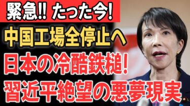 【衝撃】日本のフォトレジスト規制強化で中国半導体が停止危機？「日本抜き」の誤算と経済安全保障
