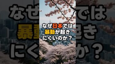 なぜ日本では暴動が起きにくいのか？　#shorts  #海外の反応 #japan