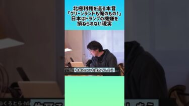 【ひろゆき】ふわっと外交が最適解 #shorts #ひろゆき #ひろゆき切り抜き #日本外交 #国際政治 #世界情勢 #沈黙 #様子見 #現実論