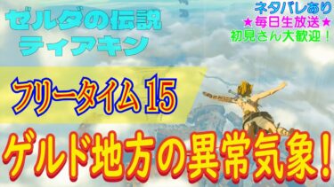 【（ネタバレあり）初見さん大歓迎！ゲルド地方の異常気象！】ゼルダの伝説 ティアーズオブザキングダム こつこつプレイ フリータイム15（生放送版）