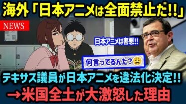【海外の反応】「アニメは害悪！」アニメ人気に嫉妬したテキサス州議員が全会一致で作品を禁止にする法案を可決→米国全土で怒り爆発＆大炎上