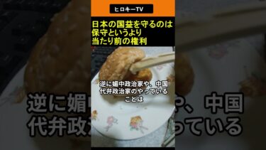 移民問題などについて 日本の国益を守るのは保守というより当たり前の権利 2026.01.21 ヒロキーTV #shorts