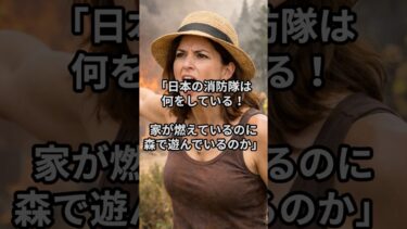 【海外の反応】「なぜ家を見捨てる？」ギリシャ山火事で日本消防隊35名が取った”非情な選択”…3時間後、住民全員が土下座した理由とは？