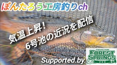 【エリアトラウト】異常気象？！気温2桁で雪解けの蔵王。6号池の近況報告【蔵王フォレストスプリングス】