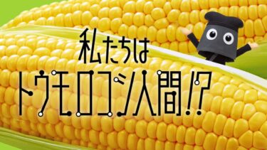 「フシギなTV」No.36 私たちはトウモロコシ人間!?　NGKサイエンスサイト