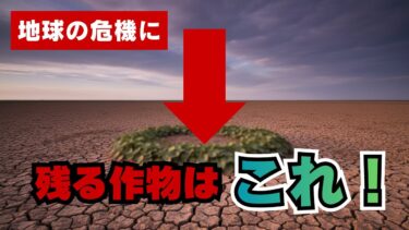 将来、地球に残る作物は限られている？気候変動に強い作物トップ5