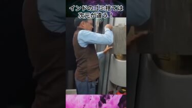 インドのゴミ捨ては次元が違う！#不法投棄＃インド#移民問題＃移民政策