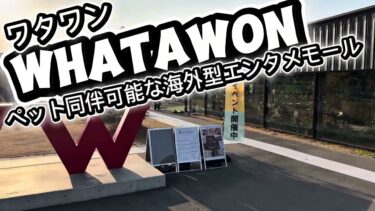 愛犬が家族として扱われる施設　海外型エンタメ施設＠大阪岸和田WHATAWON（ワタワン）