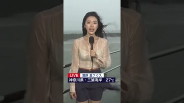 嵐の中でも冷静、プロの現場リポート