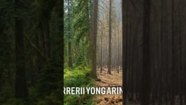 Global Warming  #documentary #shortvideo #viral #views #shorts #climatechange