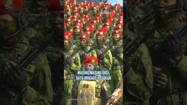 Indonesia Kirim 8.000 Tentara ke Gaza dan Jadi Wakil Komandan, Apa Itu ISF?