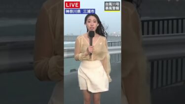 海の様子が一変…現場で続く気象リポート