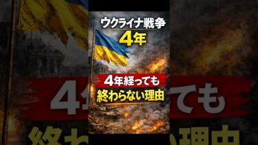 ウクライナ戦争4年。正直に言います #ウクライナ戦争 #世界情勢 #shorts