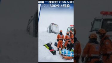 #高市早苗 #小泉進次郎 #日米同盟 #国家安全保障 #安全保障協力 #自民党 #防衛大臣 #日本経済