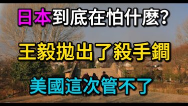 攻守易势！王毅在慕尼黑大获全胜？日本外交遭遇“至暗时刻”，白宫拒绝出手援护的真相。