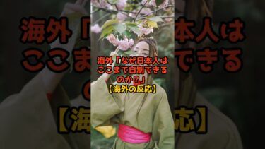 海外「なぜ日本人はここまで自制できるのか？」【海外の反応】 #日本すごい #雑学 #海外の反応