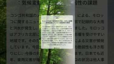 モロッコ北部で記録的大洪水、15万人避難：気候変動とインフラ脆弱性の課題｜Africanews｜2026/02/09｜環境