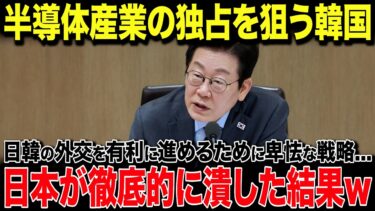 【海外の反応】韓国「日本に選択肢はない！」半導体産業独占を目論み強気発言…！韓国外交官が凍りついた“日本の一言”が…w