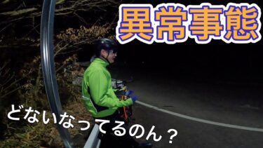 異常気象に振り回されてるチャリダー😆［ロードバイク］［TREK］［emonda