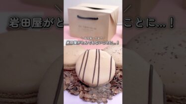 ✨今週末行ける！天神で世界最大級のチョコ祭典サロン・デュ・ショコラ2026#福岡おでかけ #サロンドュショコラ #バレンタイン