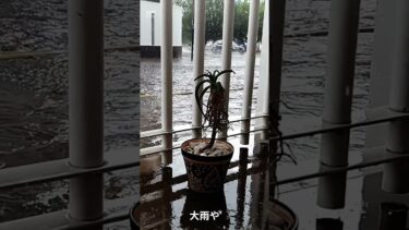 温暖化は暑いだけじゃない#地球温暖化 #環境問題 #異常気象 #社会 #解説