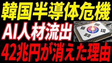 【1時間まとめ】42兆円が消えた…韓国がAI開発ゼロ件に転落した理由…少子化・技術流出・HBM敗北の全真相とは