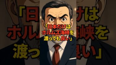 【海外の反応】緊張走るイランのホルムズ海峡！何故日本だけが渡航を許可されたのか！？